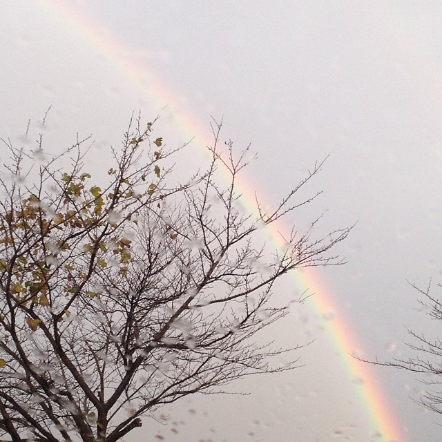 今朝の #虹 #sky #rainbow #like